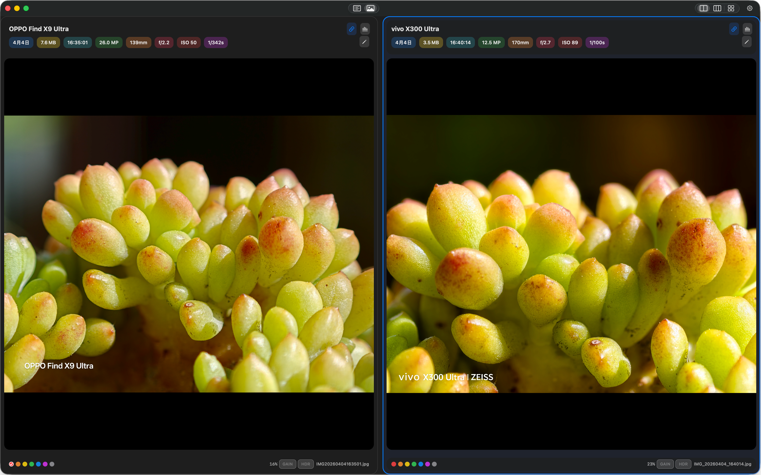 PhotoDiff Screenshot 1
